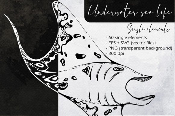 Underwater Sea Life Single Elements