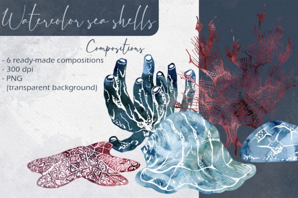 Watercolor Sea Shells Compositions: A Unique Blend of Art and Nature
